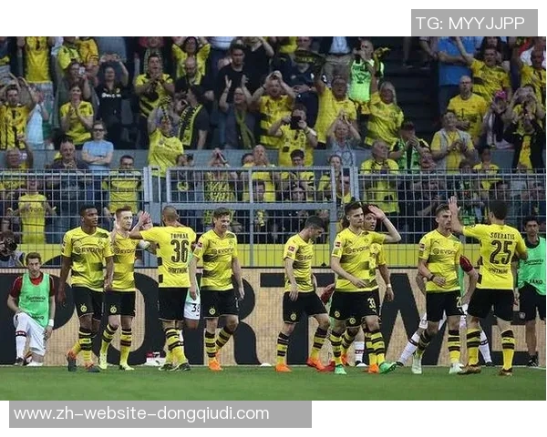 勒沃库森主场迎战多特蒙德双方争夺德甲积分榜重要位置